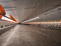 Innenansicht mit Sitzstange